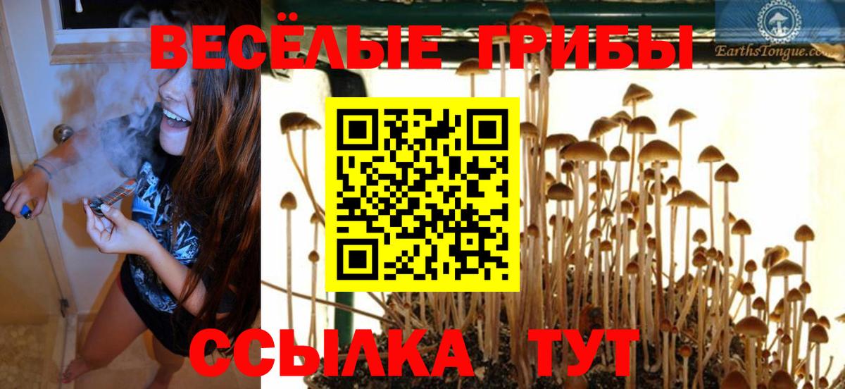 Псилоцибиновые грибы MAGIC MUSHROOMS  где можно купить   Альметьевск  Вход с VPN 