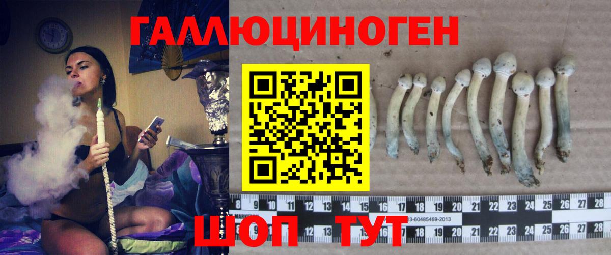 Галлюциногенные грибы Cubensis Альметьевск